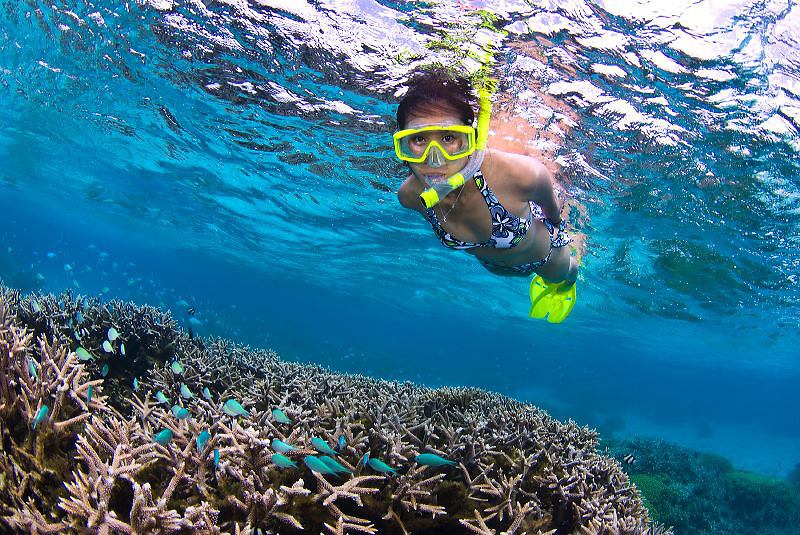 Exploring Guam's west coast and inner lagoon coral reefs