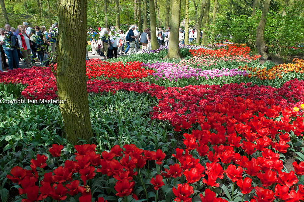 Colourful flowers at Keukenhof Garden in Lisse The Netherlands April 2009