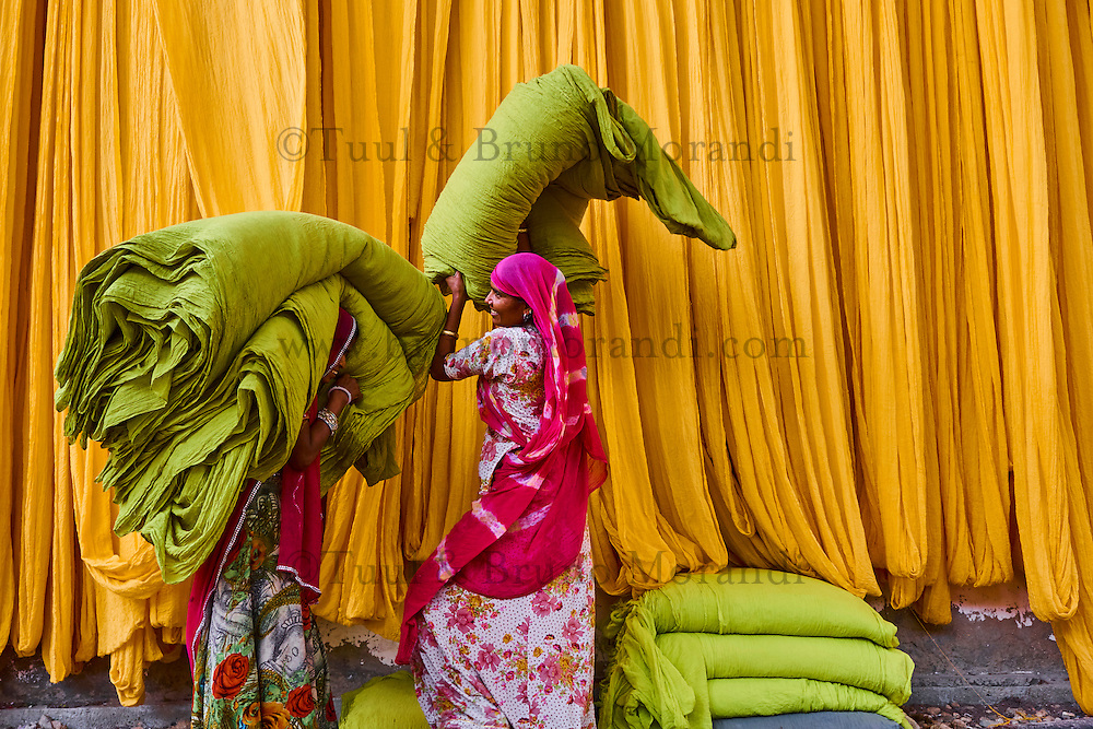 Inde, Rajasthan, Usine de Sari, Les tissus sechent en plein air. Ramassage des tissus secs par des femmes et des enfants avant le repassage. Les tissus pendent sur des barres de bambou. Les rouleaux de tissus mesurent environ 500 m de long. <br />
// India, Rajasthan, Sari Factory, Textile are dried in the open air. Collecting of dry textile are folded by women and children. The textiles are hung to dry on bamboo rods. The long bands of textiles are about 500 metre in length.