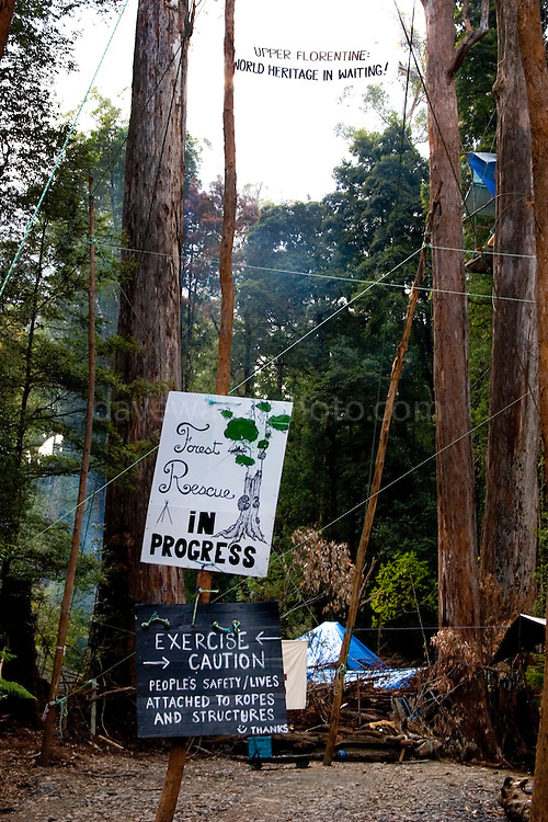 Tree house Protest in Florentine Valley, Tasmania. These activists have setup a camp blocking a forest access road made by contractors for Forestry Tasmania, in order to stop the logging of old growth forest in what is potentially a World Heritage Area.