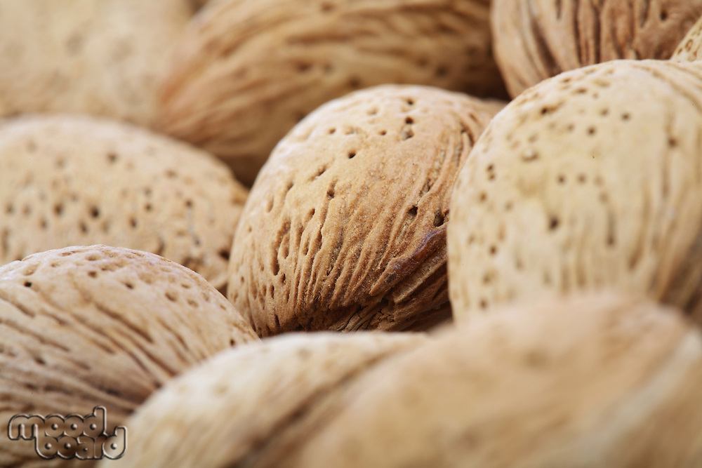Almond in shell on white background