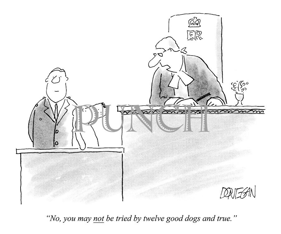 "No, you may NOT be tried by twelve good dogs and true."