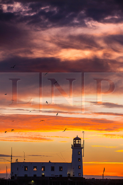 © Licensed to London News Pictures. 12/02/2019. Scarborough UK. Birds fly over Scarborough lighthouse at dawn this morning on the Yorkshire coast. Photo credit: Andrew McCaren/LNP