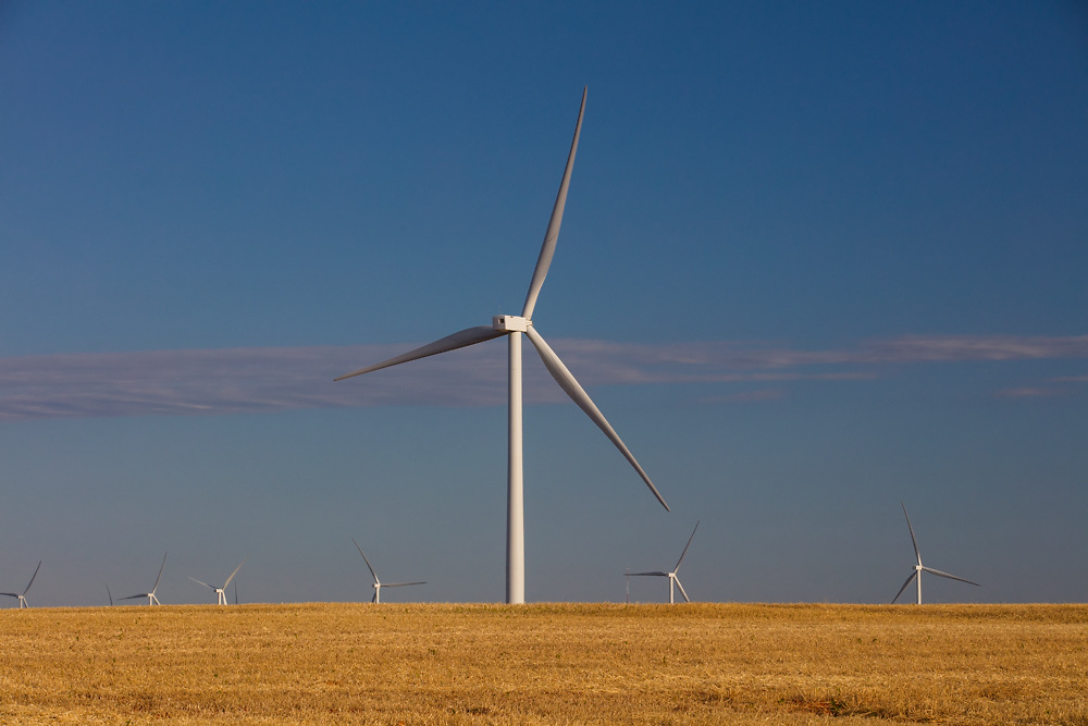 Wind farm turbines in a rural Texas field.