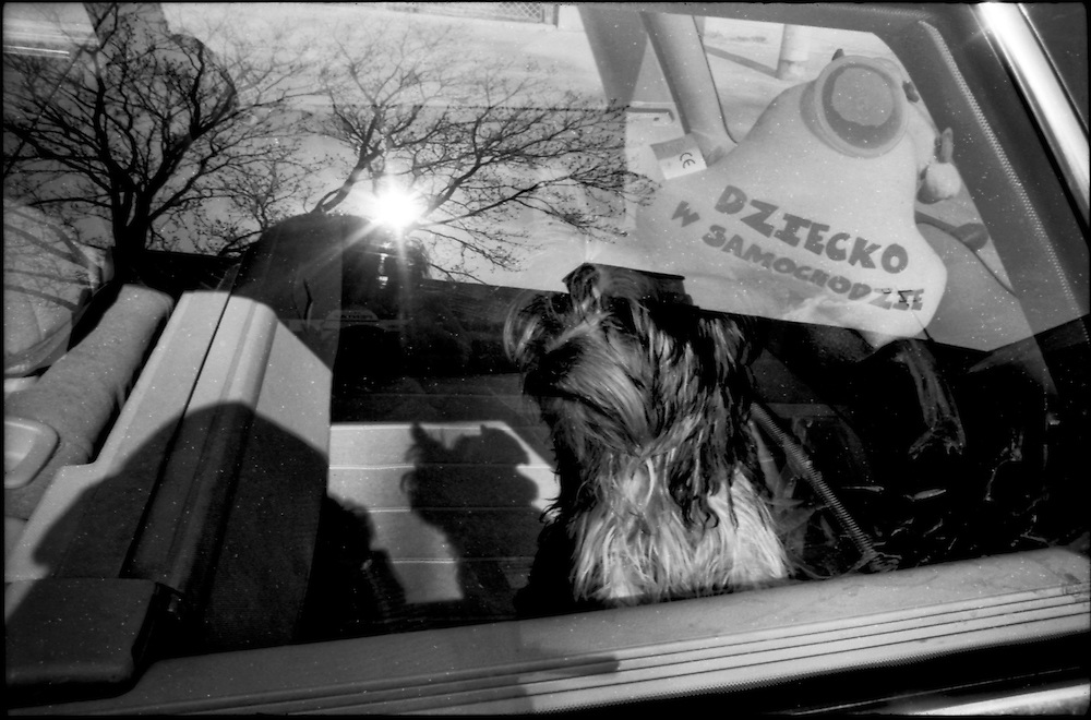 TO JEST KOD / ESE ES EL CODIGO.Photography by Aaron Sosa.Suwalki - Polonia 2008.(Copyright © Aaron Sosa)