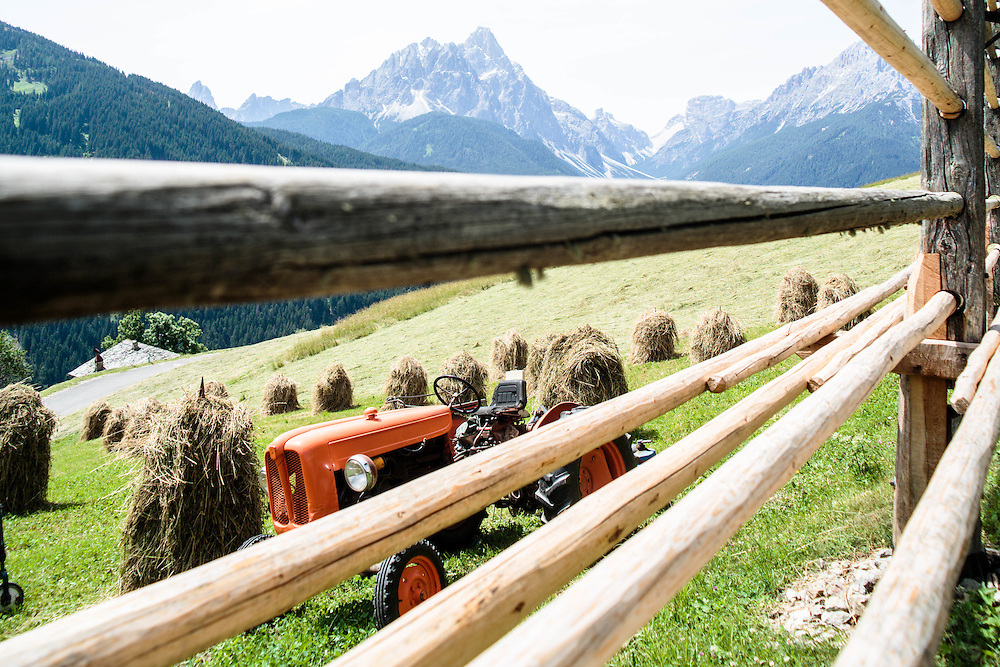 04 JUL 2014 - Prato alla Drava, San Candido (BZ) - Presso la baita Schneider