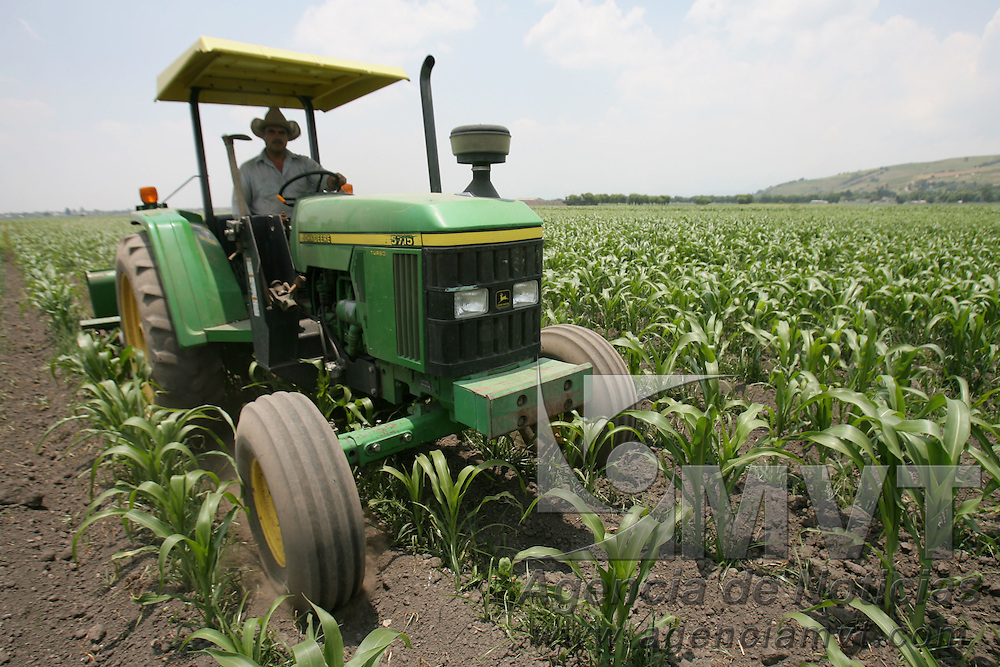 Tenango del Valle, Mex.- Un campesino abona con un tractor su parcela sembrada con maiz. Agencia MVT / Mario Vazquez de la Torre. (DIGITAL)<br />
<br />
<br />
<br />
<br />
<br />
<br />
<br />
NO ARCHIVAR - NO ARCHIVE
