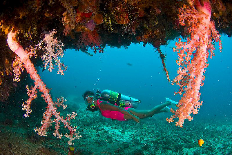 The Philippines offers colorful scuba diving, friendly people and great rural landscapes.