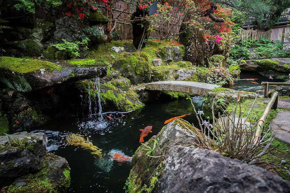 Rakusho is one of the oldest traditional tea and sweet shops of Kyoto. It has a small japanese garden outside with a little waterfall and koi carps.