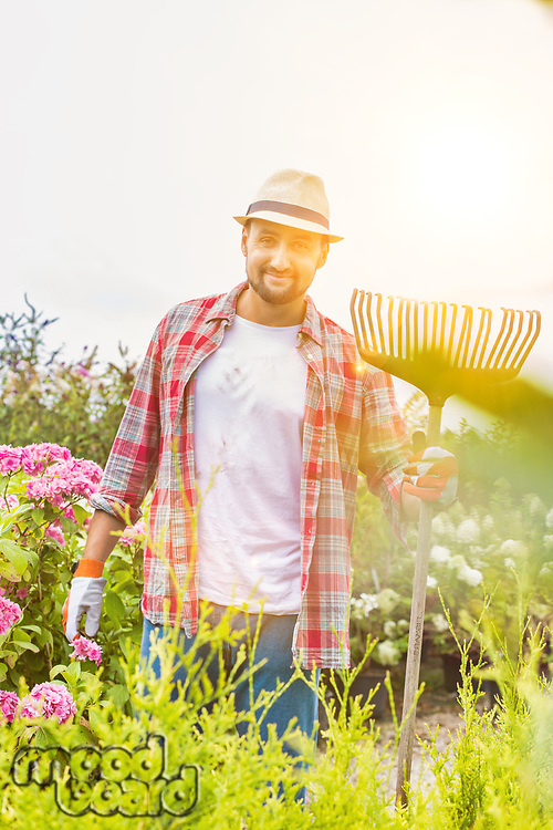 Portrait of mature gardener standing while holding fork rake