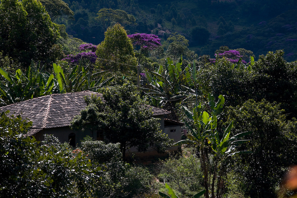 Ouro Preto_MG, Brasil...Casa em uma mata em Ouro Preto, Minas Gerais...A house in a forest in Ouro Preto, Minas Gerais...Foto: BRUNO MAGALHAES / NITRO