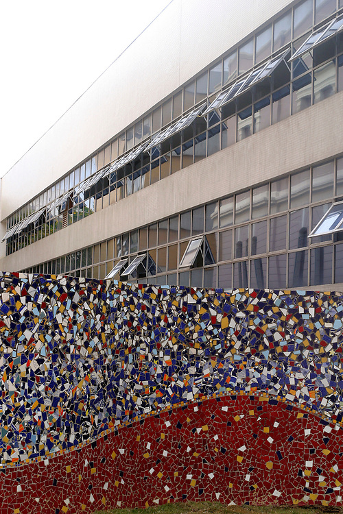 Belo Horizonte_MG, Brasil. ..Biblioteca Publica Estadual Luiz de Bessa, localizada na Praca da Liberdade...The State Public Library Luiz de Bessa, located in the Praca da Liberdade...Foto: LEO DRUMOND / NITRO