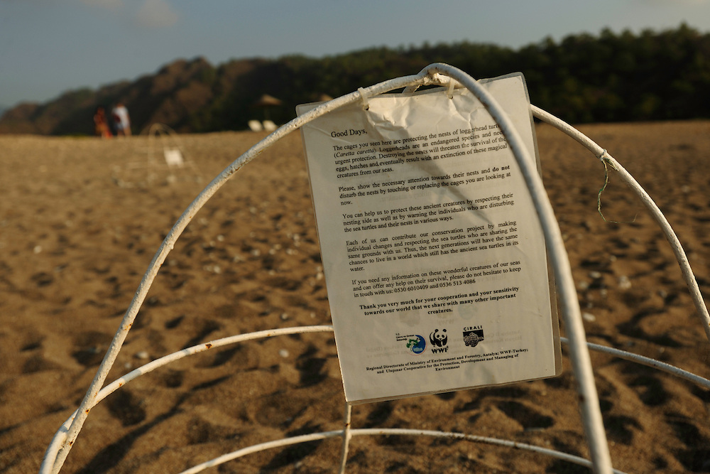At Cirali Beach the nests of the Loggerhead Sea Turtles (Caretta caretta) are caged by volunteers which guard the beach at night. Leaflets inform tourists and local people not to disturb or destroy the nests by digging or setting up sun umbrellas.