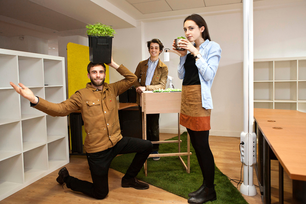 Ciel mon radis ! installe un kit potager dans les bureaux des entreprises pour fédérer les employés autour de la culture d'aromatiques originale