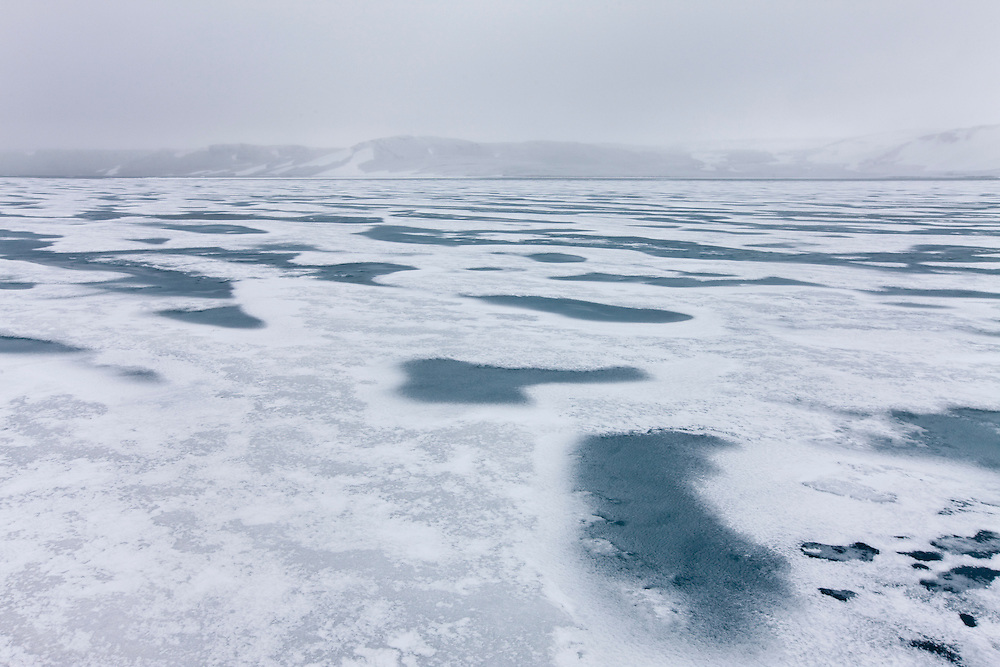 Norway, Svalbard, Nordaustlandet, Sea ice in snow storm in Murchison Fjord at Nordvika along Hinlopen Strait