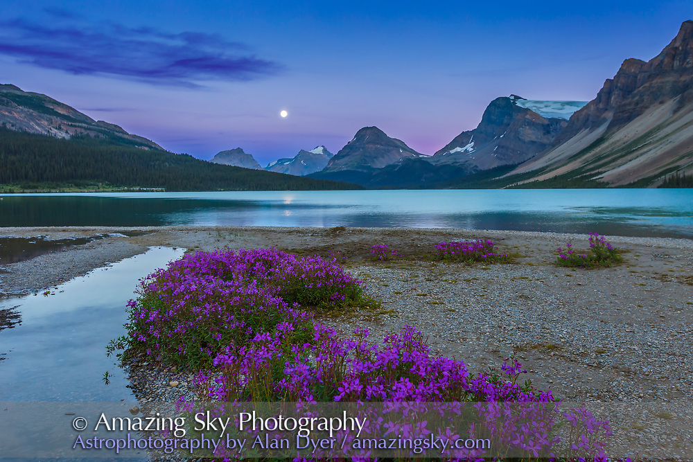 The nearly Full Moon (0ne day before Full) rising at the end of Bow Lake, with purple flowers (Purple Saxifrage?) in the foreground. Taken August 9, 2014. This is an HDR High Dynamic Range stack of 5 exposures at 2/3rds stop intervals, with the Canon 16-35mm lens and Canon 6D at ISO 400.