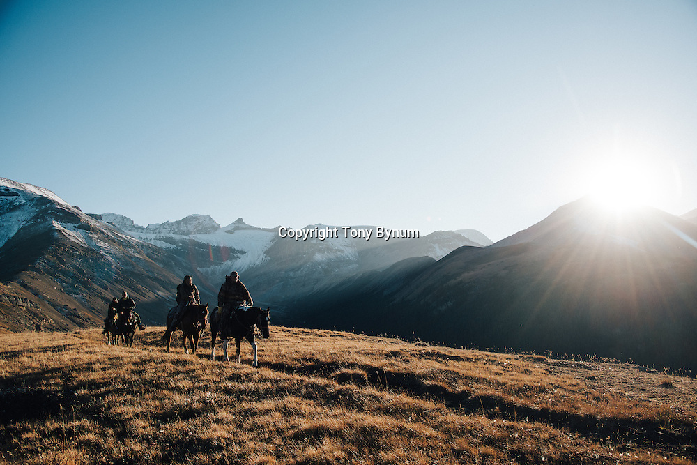 bighorn sheep hunting mountains horsesback hunting