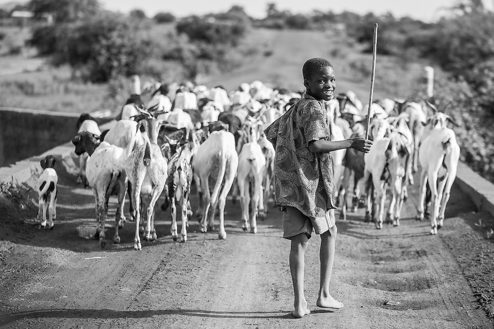 Portrait of a young Burkinabe boy herding the family flock of goats and sheep across a bridge in the Sahel of northern Burkina Faso