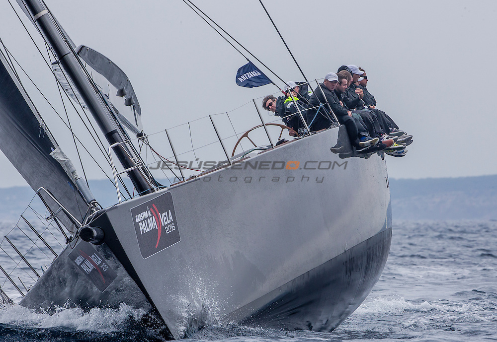 Palmavela 2016 ©jesusrenedo.com